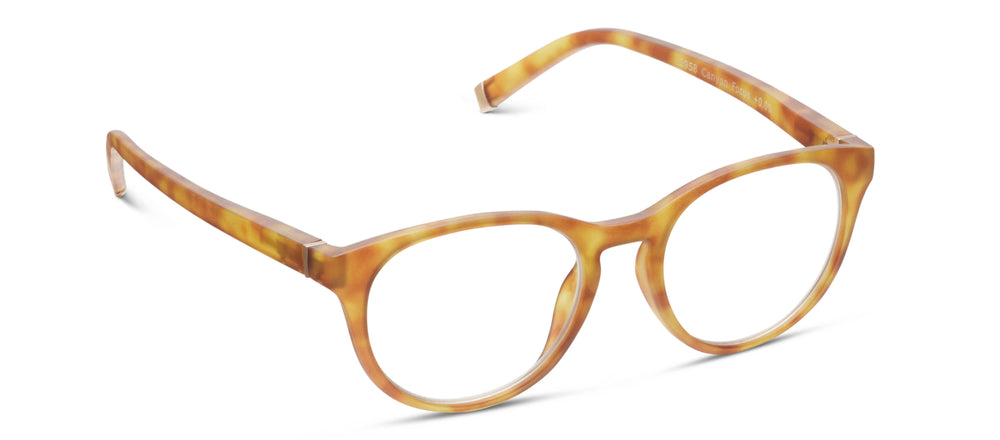 Canyon Honey Tortoise