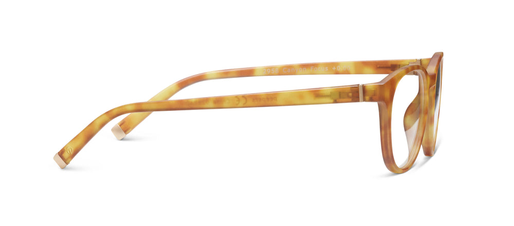 Canyon Honey Tortoise