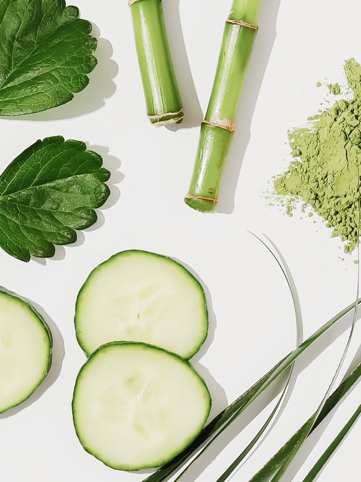 Bamboo & Green Tea Pura Fragrance Refill by Paddywax