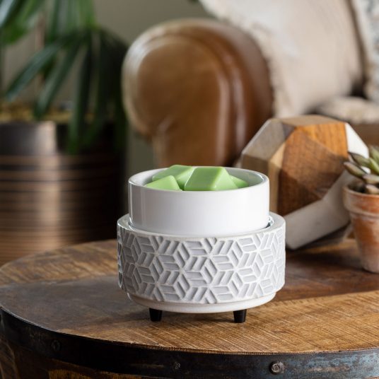 2-in-1 Classic Warmer by Candle Warmers