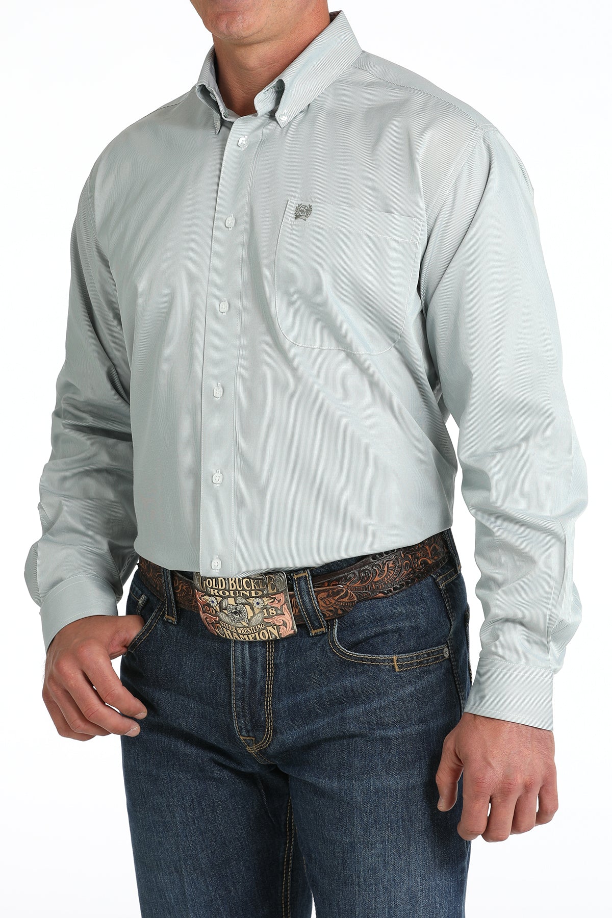 Men's Green Striped Long Sleeve Shirt by Cinch