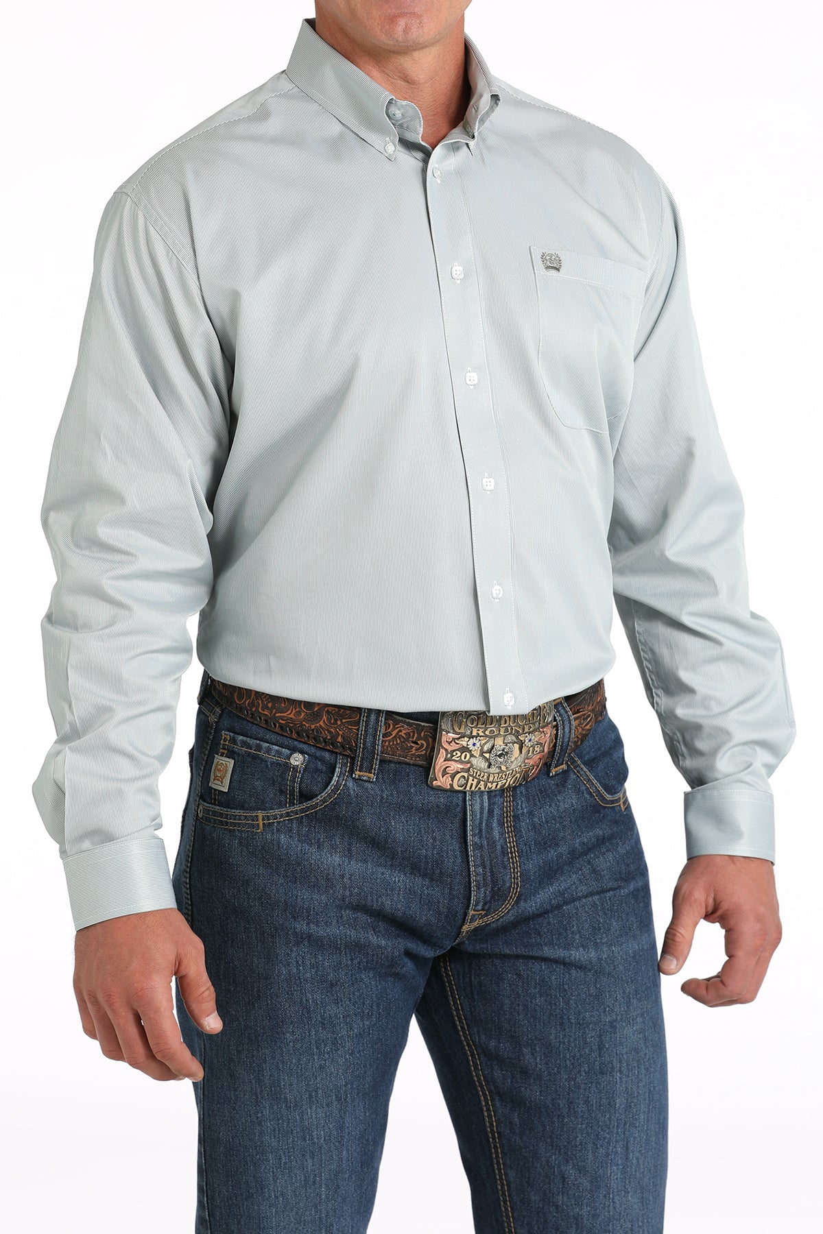 Men's Green Striped Long Sleeve Shirt by Cinch