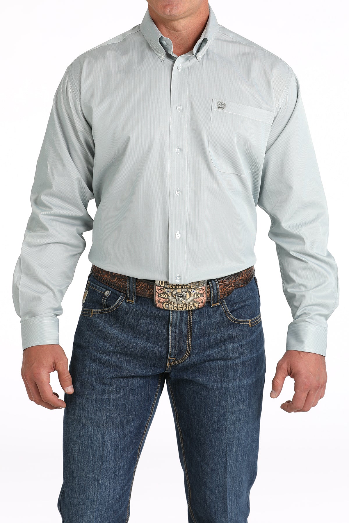 Men's Green Striped Long Sleeve Shirt by Cinch