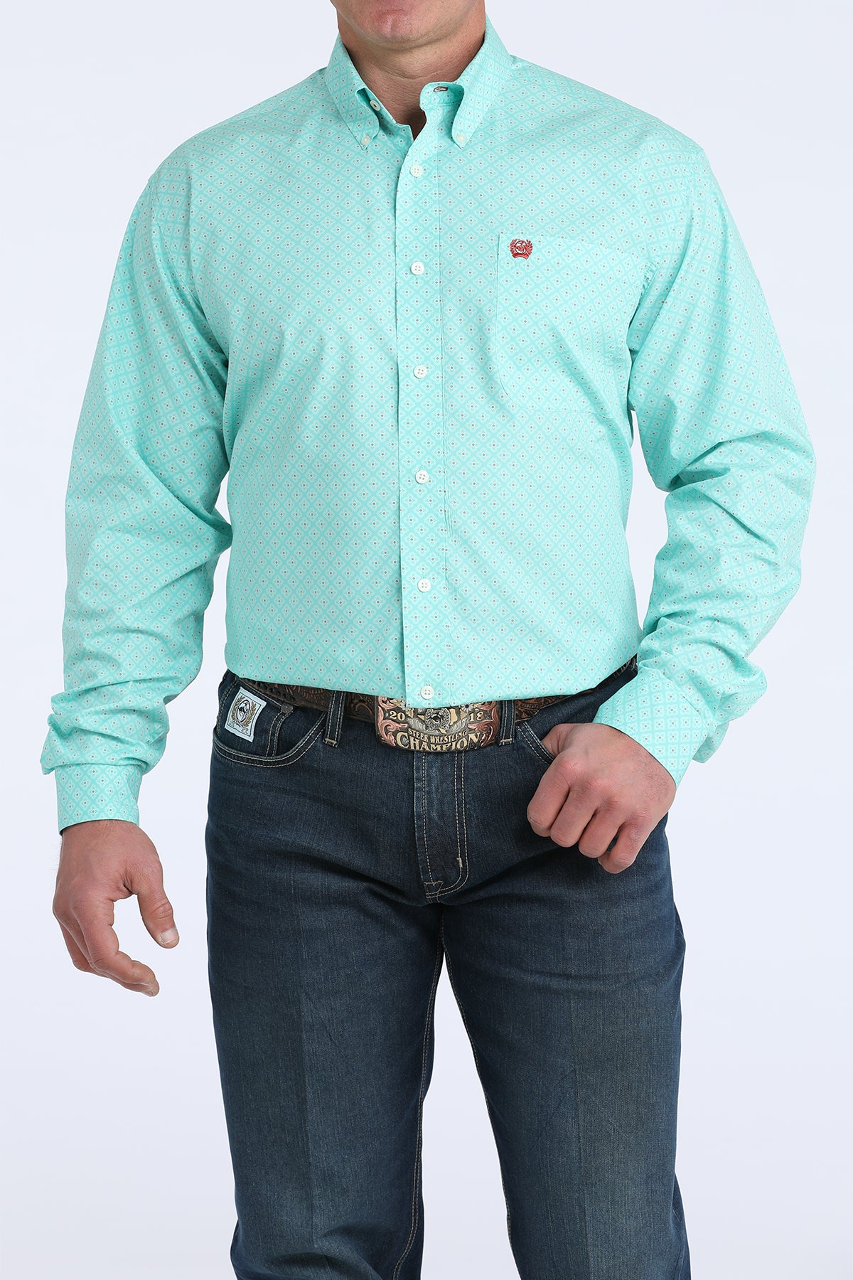 Mens Long Sleeve Button Down in Mint by Cinch