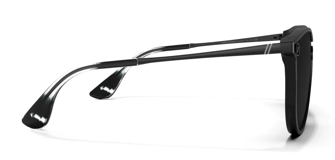 North Park X2 Sunglasses by Blenders
