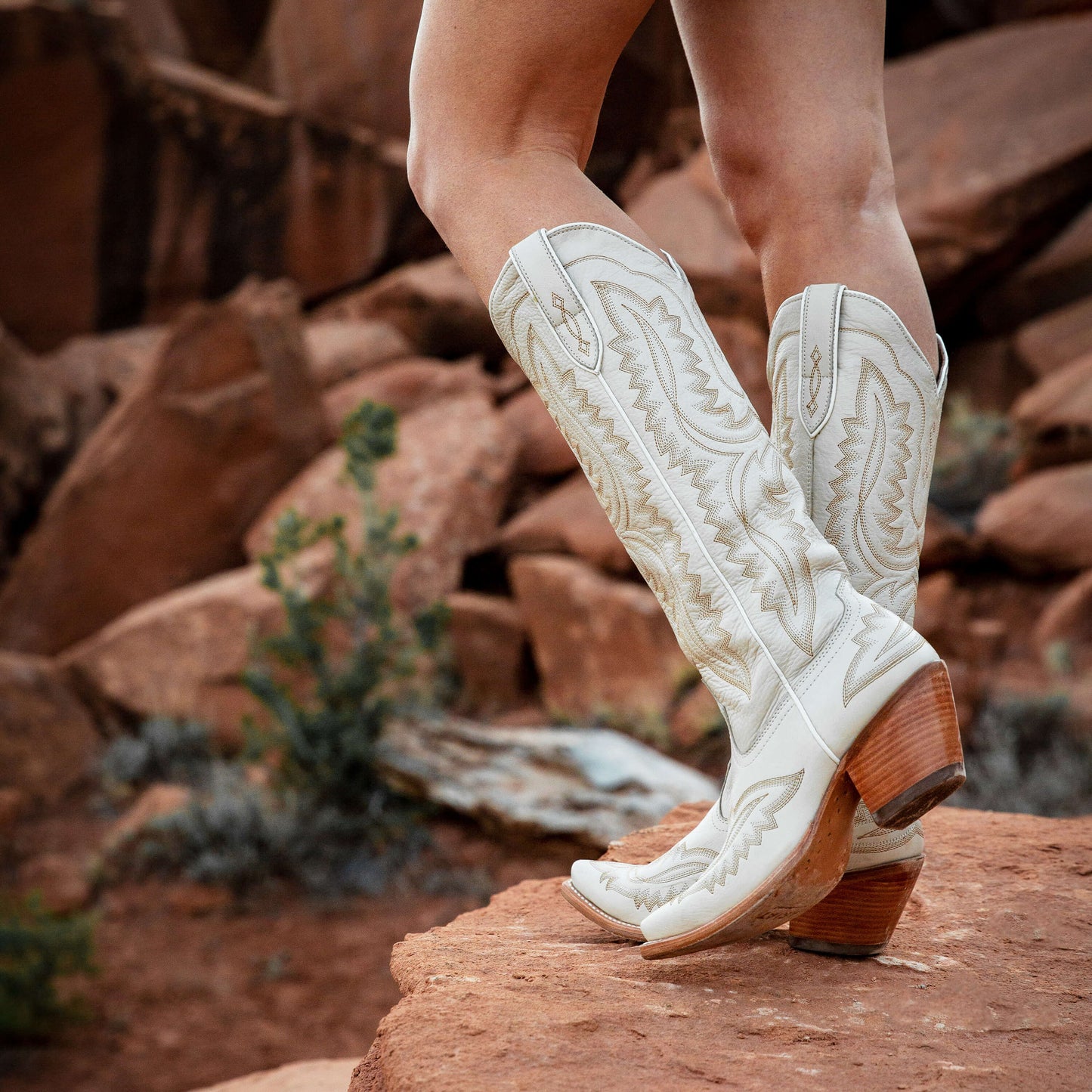 Women's Casanova Western Boots by Ariat