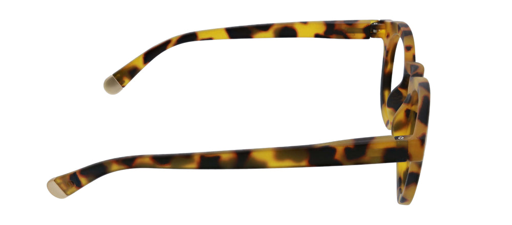 Peepers Stardust Gray Tortoise
