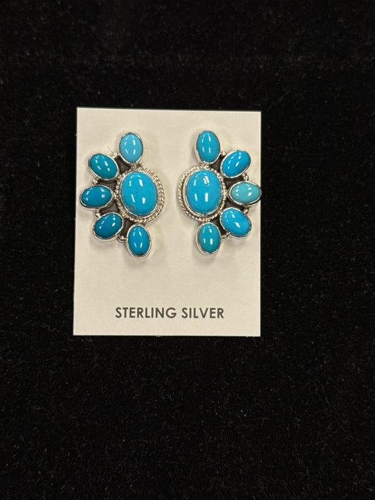 Turquoise and Sterling Silver Earrings