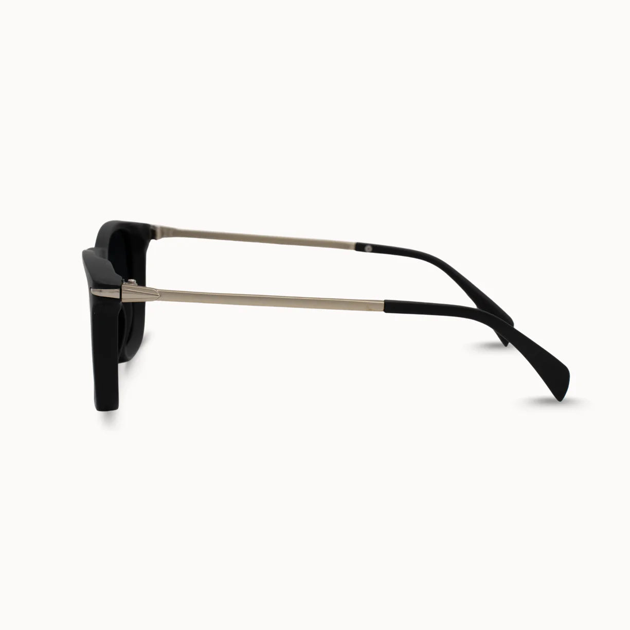 Ferris Sunglasses by DAX Eyewear