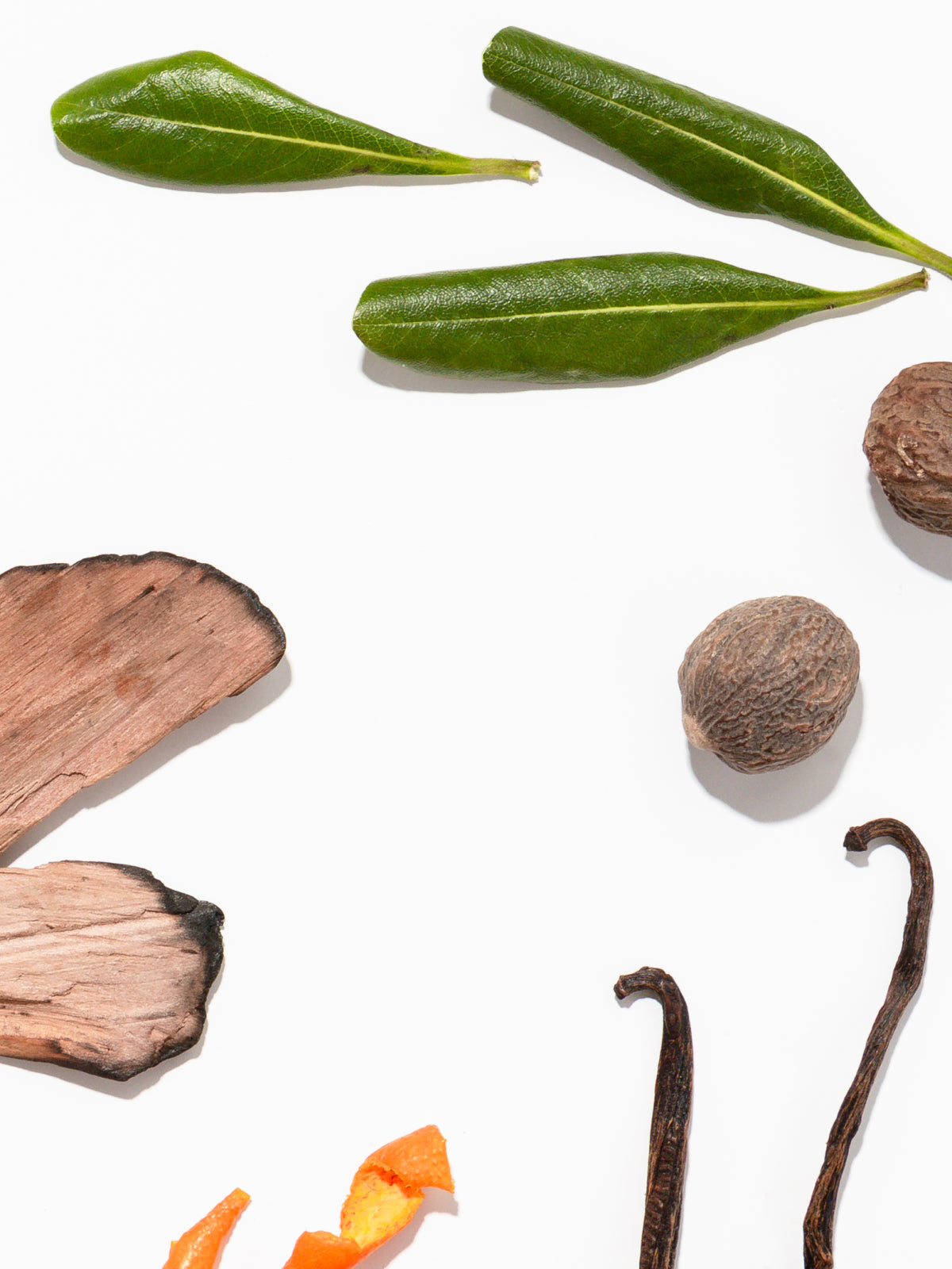 Kashmir Pura Fragrance Refill by Archipelago