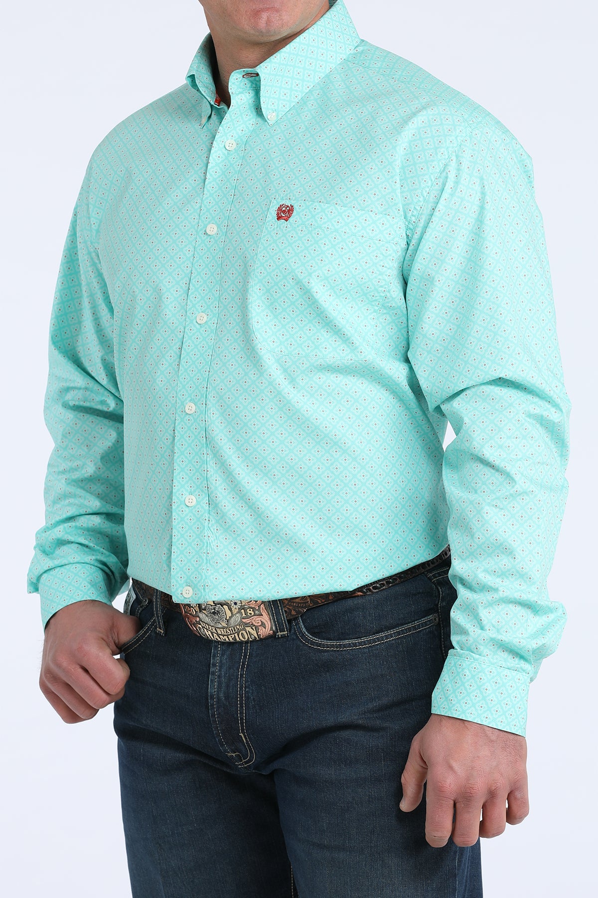 Mens Long Sleeve Button Down in Mint by Cinch