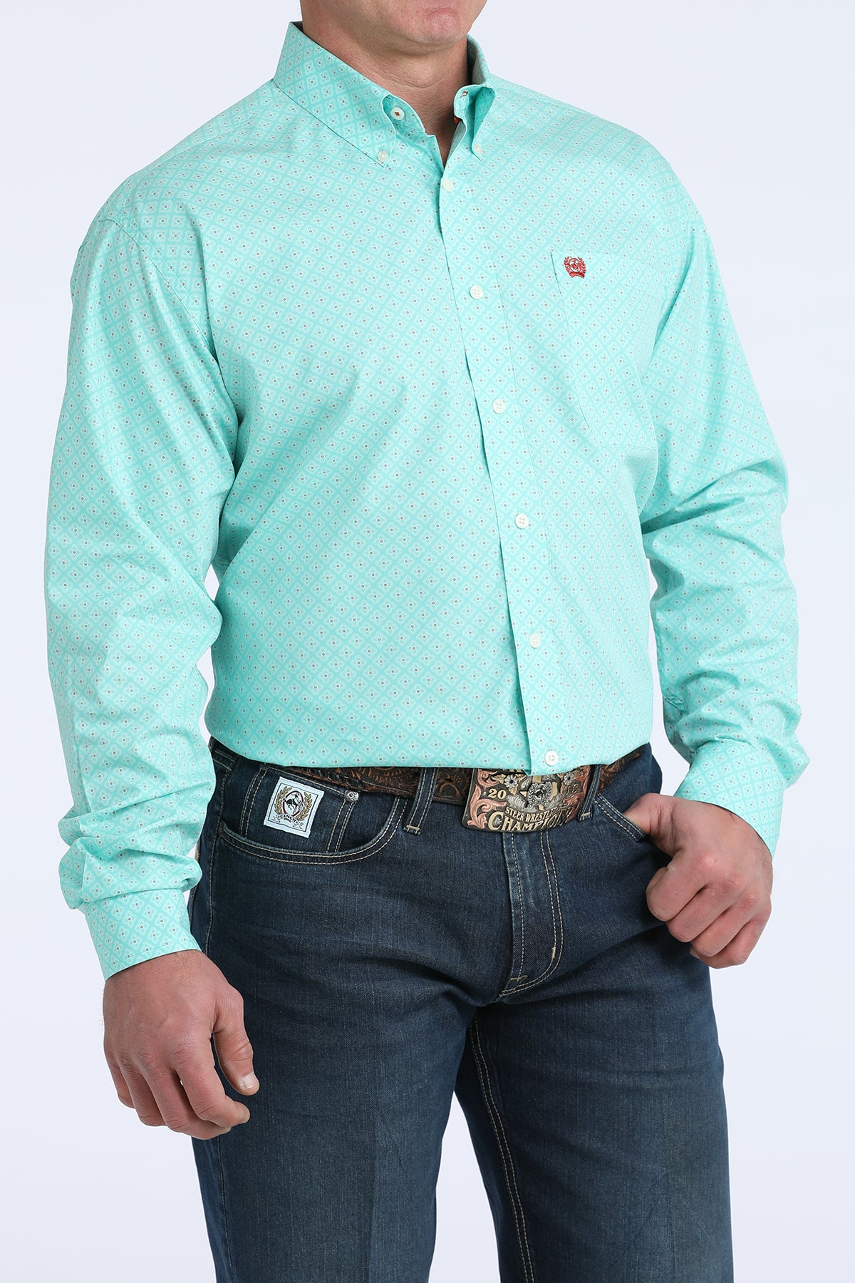 Mens Long Sleeve Button Down in Mint by Cinch