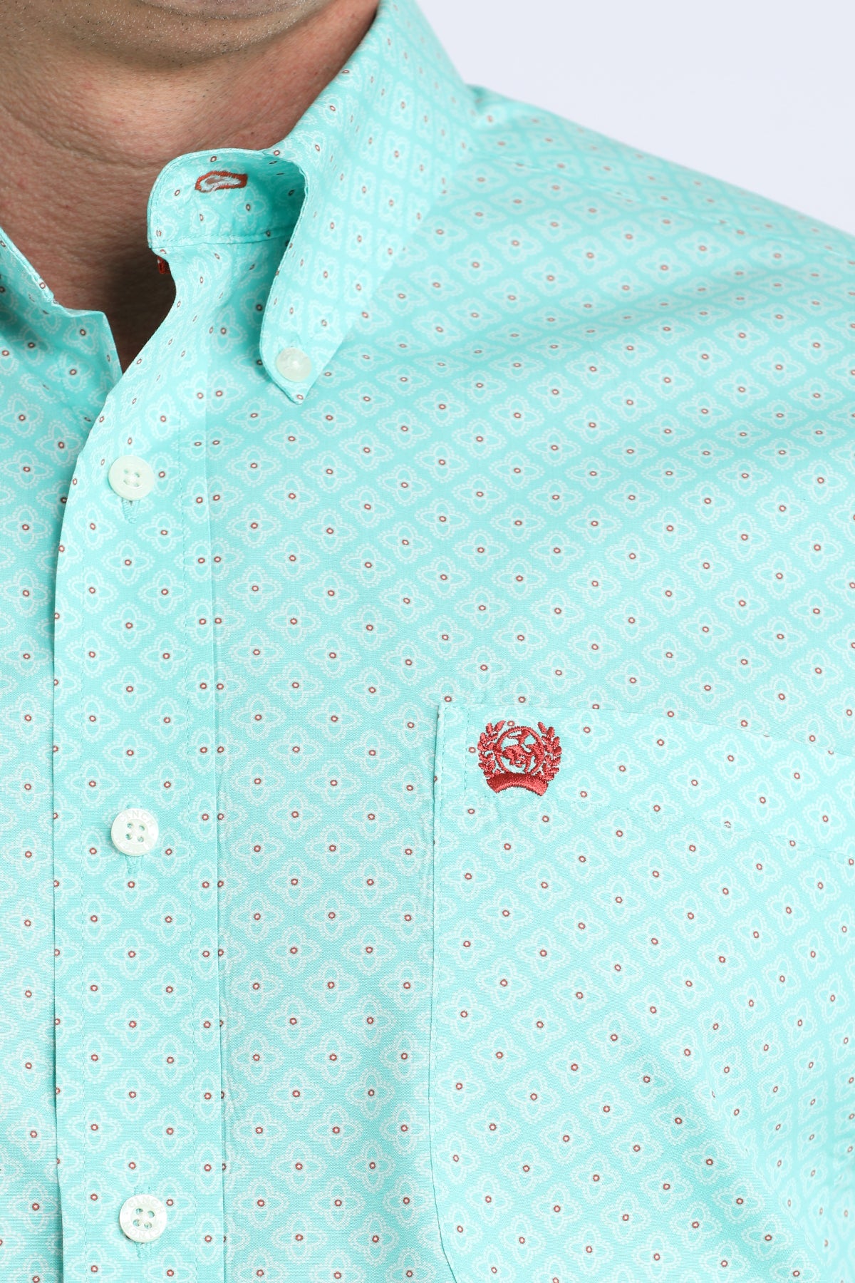 Mens Long Sleeve Button Down in Mint by Cinch
