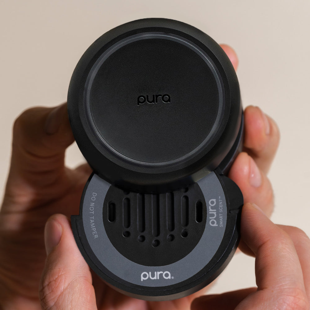 Car Wash Pura Car Fragrance Refill by Pura