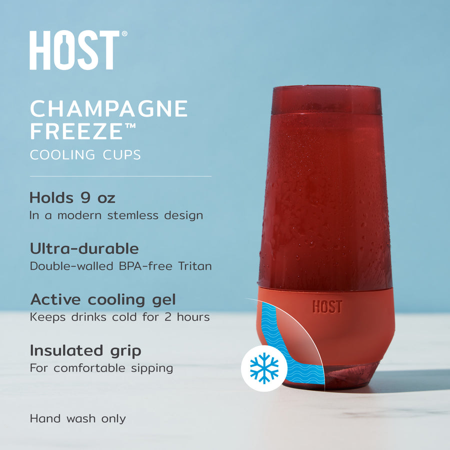 Champagne Freeze Cooling Cup in Modern by Host