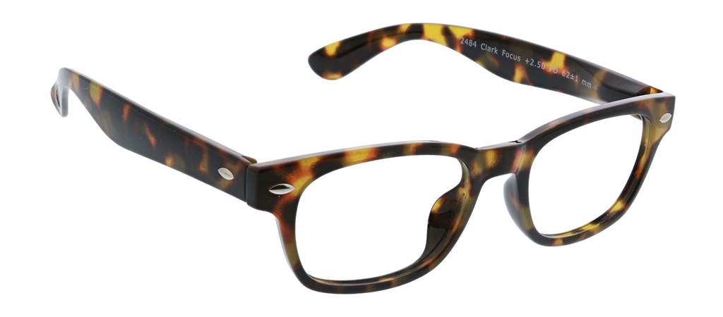 Peepers Readers Clark Tortoise