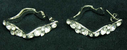 Earrings FE7077