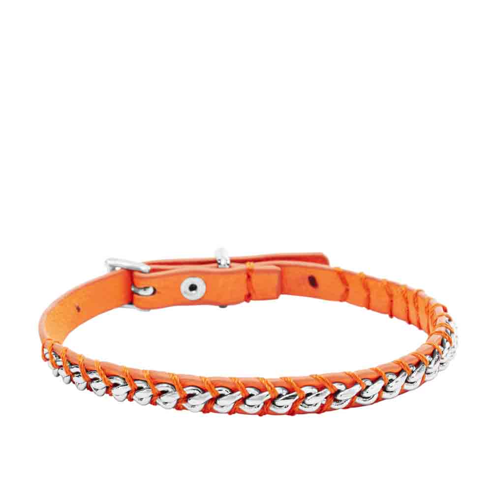 Fossil Cupchain Coral
